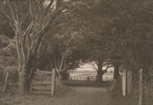 On a farm Hawera, Taranaki, N. Z., 1920s. Creator: Eunice Harriett Garlick