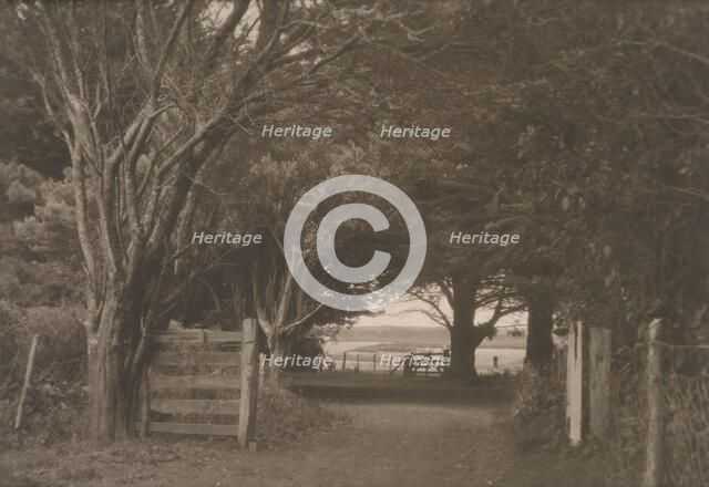 On a farm Hawera, Taranaki, N. Z., 1920s. Creator: Eunice Harriett Garlick.