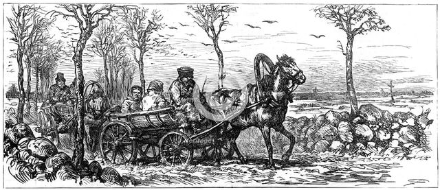 On a road near St Petersburg, Russia, 1882. Artist: Unknown