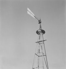 On abandoned farm in Columbia Basin, one mile east of Quincy, Grant County, Washington, 1939. Creator: Dorothea Lange