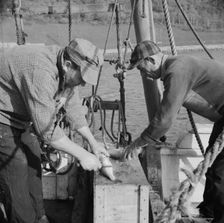 On board the fishing boat Alden, out of Glocester, Massachusetts, 1943. Creator: Gordon Parks