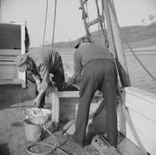 On board the fishing boat Alden, out of Glocester, Massachusetts, 1943. Creator: Gordon Parks