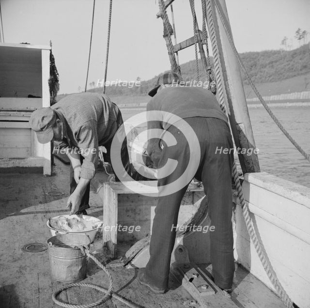 On board the fishing boat Alden, out of Glocester, Massachusetts, 1943. Creator: Gordon Parks.