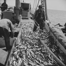 On board the fishing boat Alden, out of Gloucester, Massachusetts, 1943. Creator: Gordon Parks