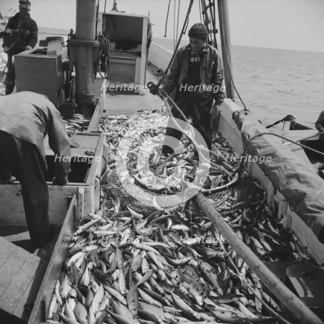 On board the fishing boat Alden, out of Gloucester, Massachusetts, 1943. Creator: Gordon Parks.
