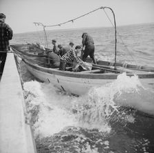 On board the fishing boat Alden, out of Gloucester, Massachusetts, 1943. Creator: Gordon Parks