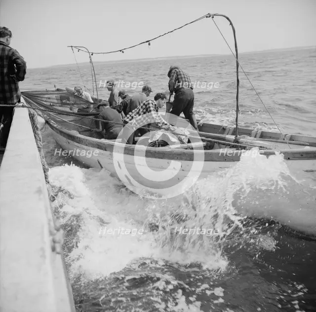 On board the fishing boat Alden, out of Gloucester, Massachusetts, 1943. Creator: Gordon Parks.
