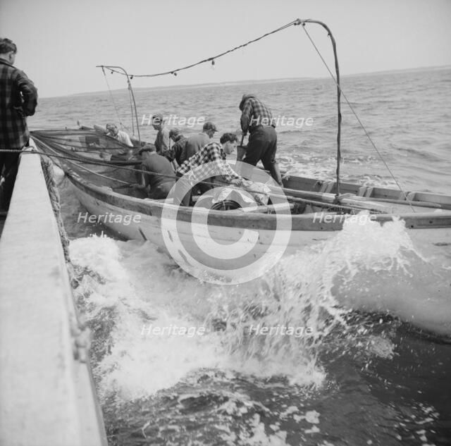 On board the fishing boat Alden, out of Gloucester, Massachusetts, 1943. Creator: Gordon Parks.