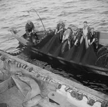 On board the fishing boat Alden, out of Gloucester, Massachusetts, 1943. Creator: Gordon Parks