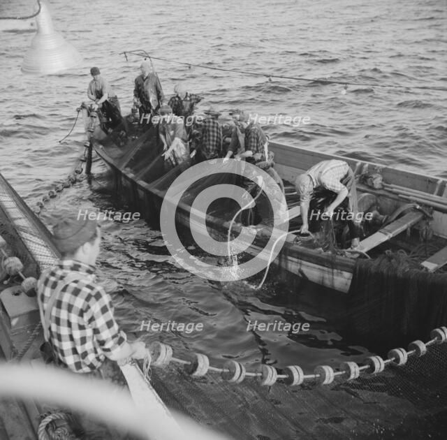 On board the fishing boat Alden, out of Gloucester, Massachusetts, 1943. Creator: Gordon Parks.