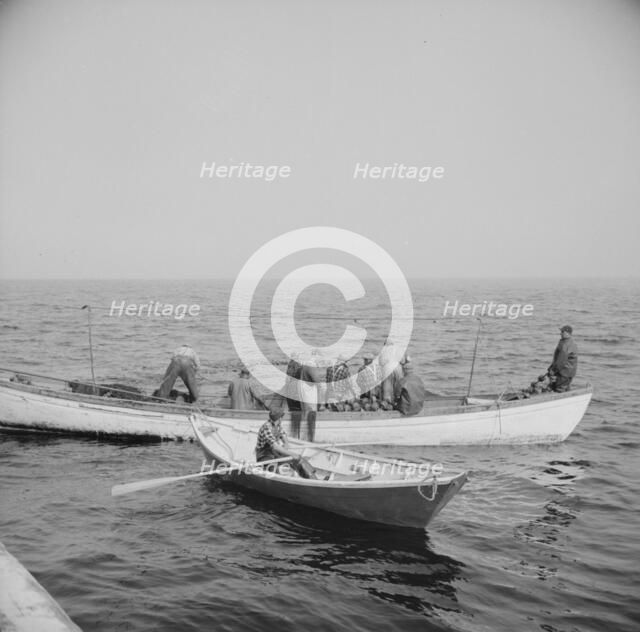 On board the fishing boat Alden, out of Gloucester, Massachusetts, 1943. Creator: Gordon Parks.