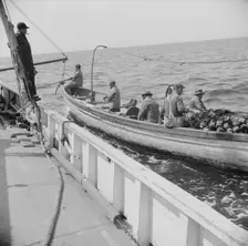 On board the fishing boat Alden, out of Gloucester, Massachusetts, 1943. Creator: Gordon Parks