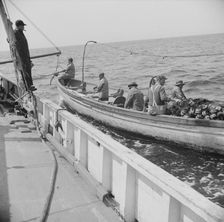 On board the fishing boat Alden, out of Gloucester, Massachusetts, 1943. Creator: Gordon Parks