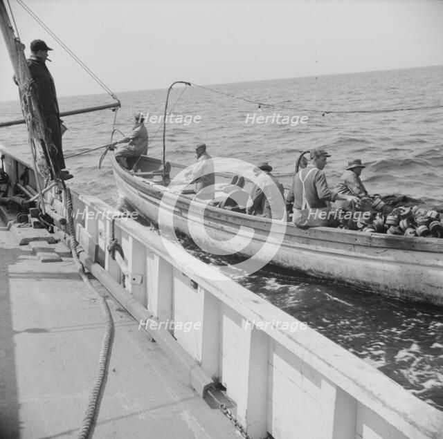On board the fishing boat Alden, out of Gloucester, Massachusetts, 1943. Creator: Gordon Parks.