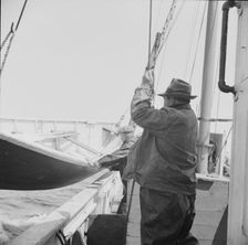 On board the fishing boat Alden out of Gloucester, Massachusetts, 1943. Creator: Gordon Parks