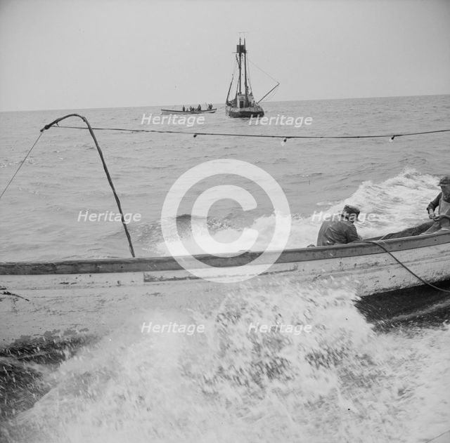 On board the fishing boat Alden, out of Gloucester, Massachusetts, 1943. Creator: Gordon Parks.