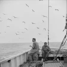 On board the fishing boat Alden, out of Gloucester, Massachusetts, 1943. Creator: Gordon Parks