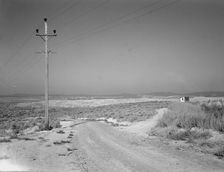 On bench land of the Owyhee project, Nyssa Heights, Malheur County, Oregon, 1939. Creator: Dorothea Lange