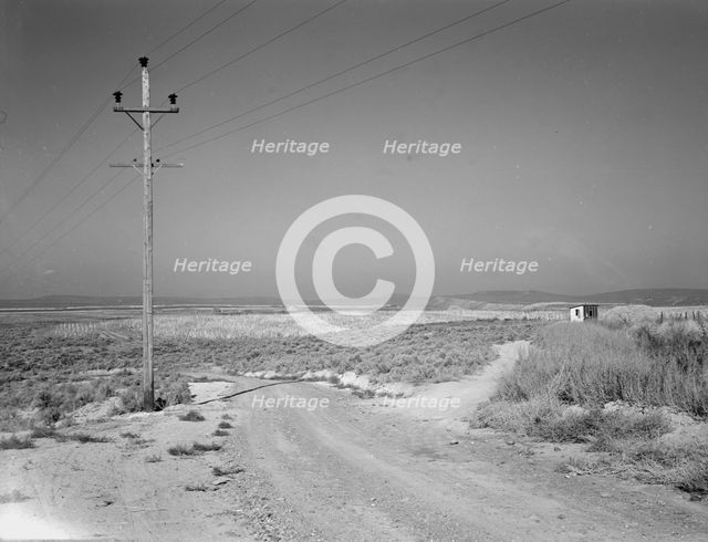 On bench land of the Owyhee project, Nyssa Heights, Malheur County, Oregon, 1939. Creator: Dorothea Lange.