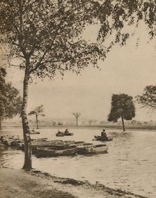 On Blackheath, Greater London's Most Historic Common c1935. Creator: Donald McLeish