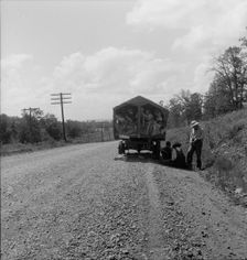 On highway no. 1 of the "OK" state near Webbers Falls, Muskogee County, Oklahoma, 1938. Creator: Dorothea Lange