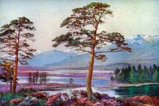 On Loch Tulla, Black Mount, Argyllshire Scotland, 1924-1926.Artist: FC Varley