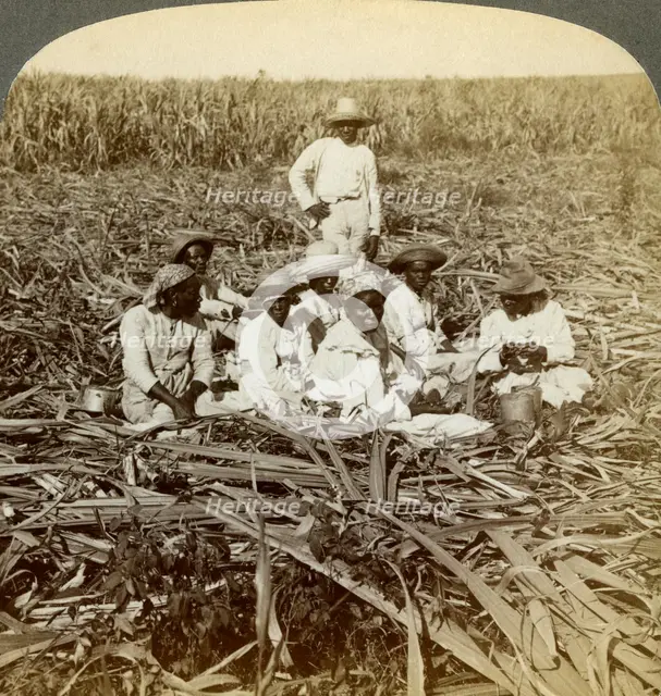 On 'La Union' sugar plantation, San Luis, Santiago Province, Cuba, 1899.  Artist: Underwood & Underwood