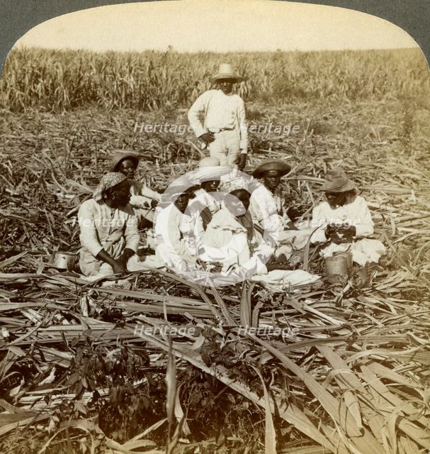 On 'La Union' sugar plantation, San Luis, Santiago Province, Cuba, 1899.  Artist: Underwood & Underwood