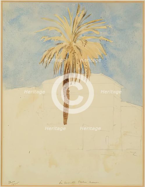 On Monte Calio, Rome - Palm Tree, 1825. Creator: James William Giles.