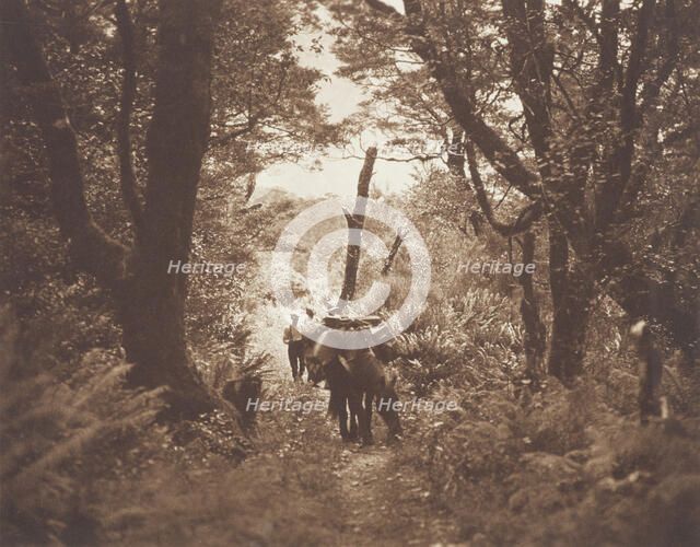 On Milford track. From the album: Camera Pictures of New Zealand, 1920s. Creator: Harry Moult.