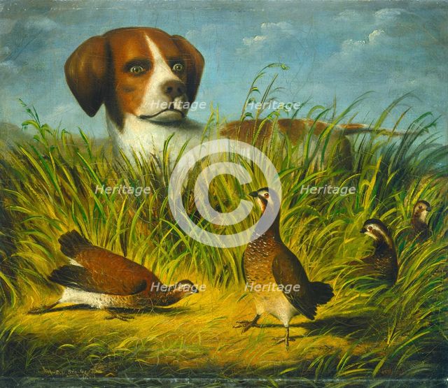On Point, 1854 or after. Creator: D.G. Stouter.