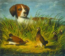 On Point, 1854 or after. Creator: D.G. Stouter