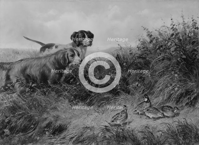 On Point, 1874. Creator: Arthur Fitzwilliam Tait.