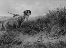 On Point, 1874. Creator: Arthur Fitzwilliam Tait