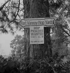 On road off main highway, leading to Roque River, near Grants Pass, Josephine County, Oregon, 1939. Creator: Dorothea Lange