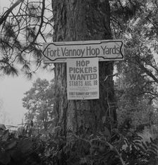 On road off main highway, leading to Roque River, near Grants Pass, Josephine County, Oregon, 1939. Creator: Dorothea Lange