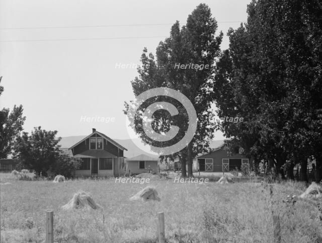 On tenant purchase program (FSA), west of Toppenish, Yakima County, Washington, 1939. Creator: Dorothea Lange.