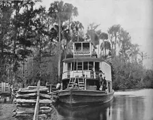 On the Ocklawaha River, Florida c1897. Creator: Unknown