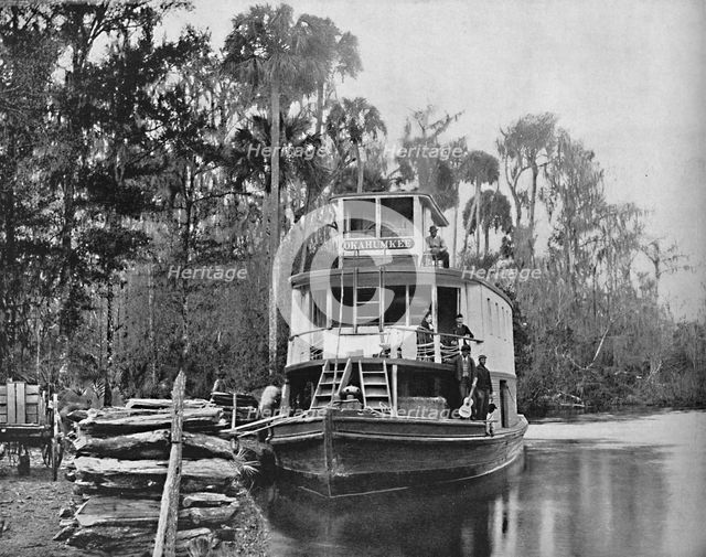 'On the Ocklawaha River, Florida', c1897. Creator: Unknown.