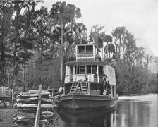 On the Ocklawaha River, Florida, USA, c1900. Creator: Unknown