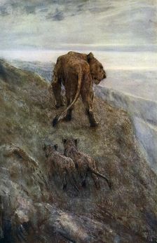 On the Alert - Lioness and Cubs c1878-1910, (1912).Artist: John MacAllan Swan