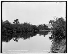On the Ammonoosuc, White Mountains, c1900. Creator: Unknown