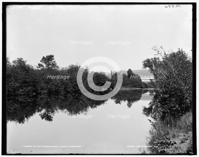 On the Ammonoosuc, White Mountains, c1900. Creator: Unknown.
