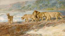 On the bank of an African river 1918. Artist: Briton Riviere