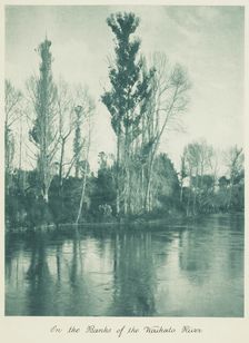 On the banks of the Waikato River. From the album: Camera Pictures of New Zealand, 1920s. Creator: Harry Moult