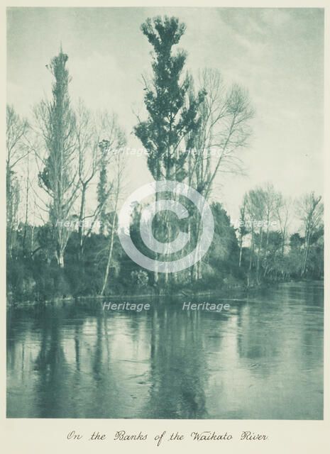 On the banks of the Waikato River. From the album: Camera Pictures of New Zealand, 1920s. Creator: Harry Moult.