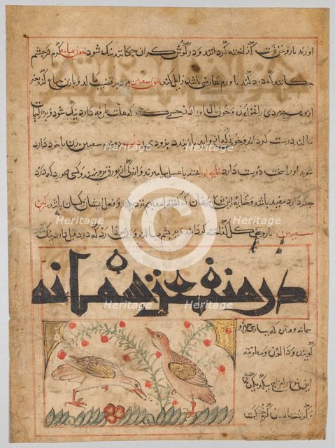 On the Benefits of Quails (verso) from a Manafi al-Hayawan..., c. 1300. Creator: Unknown.