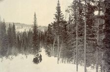 On the Biisk Line Between the Settlements of Kliuchi and Andreevsk: View on the Biisk Link..., 1909. Creator: Nikolai Georgievich Katanaev