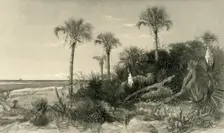 On the Coast of Florida 1872. Creator: Robert Hinshelwood