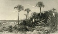 On the Coast of Florida 1872. Creator: Robert Hinshelwood